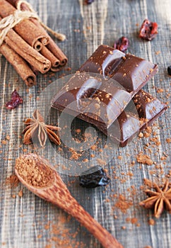 Pieces of chocolate with cinnamon, anise and