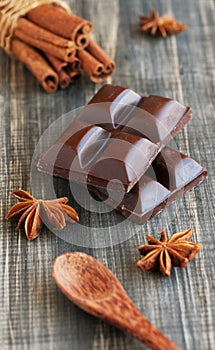 Pieces of chocolate with cinnamon, anise and