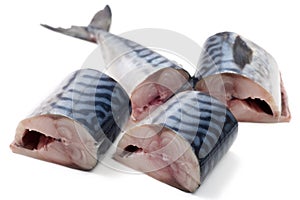 Pieces of chopped mackerel