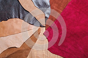 Pieces of colorful leather.