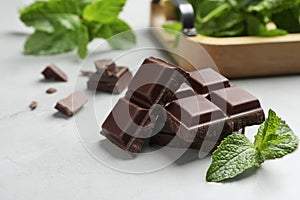 Pieces of dark chocolate with mint