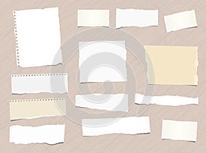 Pieces of different size ripped note, notebook, copybook paper stuck brown background