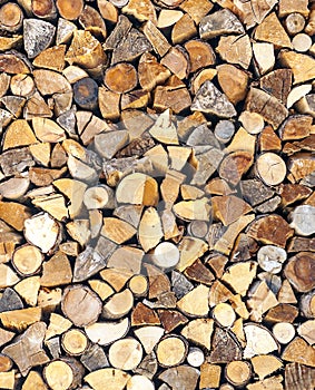 Pieces of firewood