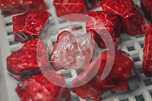 Pieces of fresh meat in the tray of an electric dryer to dehydrate food. Drying of food. Selective focus