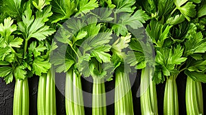 pieces of green celery arranged in an orderly and pleasant way on a background seen from above