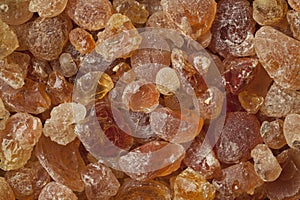 Pieces of Gum arabic