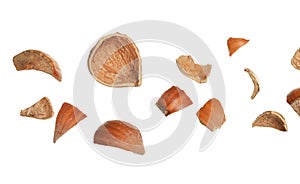 Pieces of hazelnut shell on white