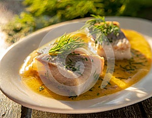 Pieces of herring in mustard sauce with dill. White plate on a wooden table. Outdoor photo.