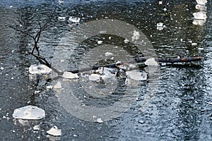 Pieces of ice and a tree branch laying on frozen lake