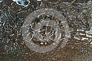 Pieces of ice float on waves, Ice plaques, sandy coast, stones, spring landscape, sunny weather