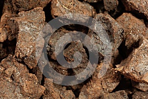 Pieces of lignite or brown coal