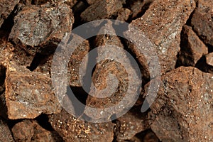 Pieces of lignite or brown coal