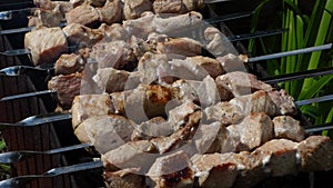 Pieces of meat grilled over charcoal.