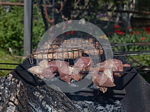 pieces of meat in a mesh on a grill