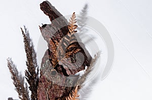 Pieces of old brown pine bark, dry leaf fern, moss, stems grass on white wooden board with shadow, top view, simple organic.