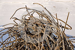 Pieces of old reinforcement twisted into a ball