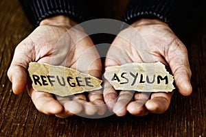 Pieces of paper with words refugee and asylum