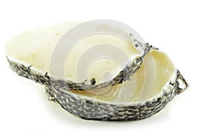 Pieces of raw cod fish fillets