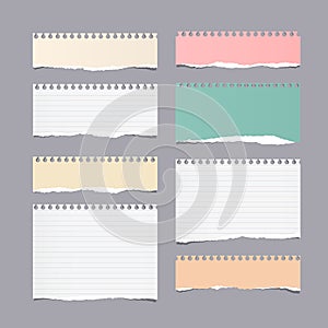 Pieces of ripped different size colorful note, notebook, copybook paper sheets