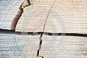 Pieces of split firewood