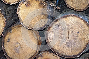 Pieces of split firewood