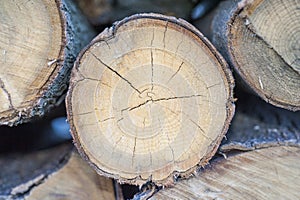 Pieces of split firewood