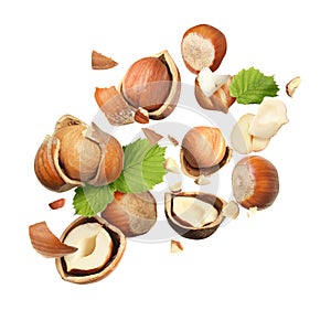 Pieces of tasty hazelnuts falling on white background