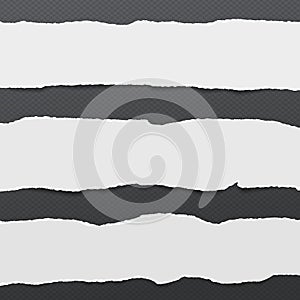 Pieces of torn white blank note, notebook paper strips stuck on black squared background