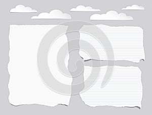 Pieces of torn white lined, blank note, notebook paper sheets with clouds on gray background