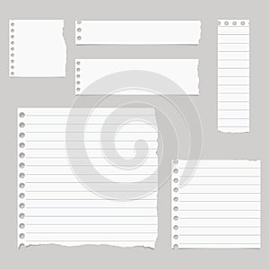 Pieces of torn white lined notebook paper are stuck on gray background