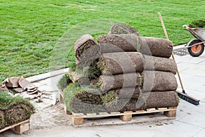 Pieces of turf on a wooden pallet near green lawn