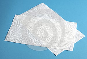 Pieces of white kitchen roll