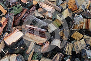 Pieces of Wood