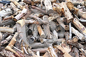 Pieces of wood