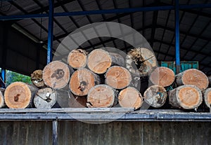 Pieces of wood harvested from the forest at a sawmill, in Balikpapan, East Kalimantan, Indonesia