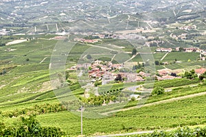 Piedmont Langhe Italy vineyards, summertime. Color image