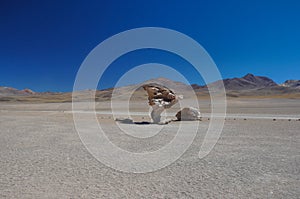 Piedra del Arbol, Sur Lipez, South Bolivia photo