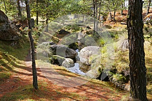 Piedras encimadas valley in zacatlan, puebla IX photo