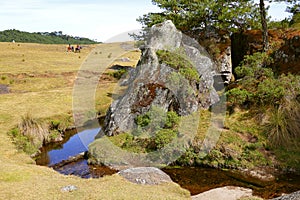 Piedras encimadas valley in zacatlan, puebla XI photo