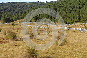 Piedras encimadas valley in zacatlan, puebla XLI photo