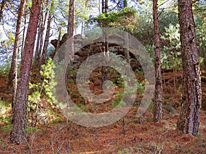 Piedras encimadas valley in zacatlan, puebla XXIV photo