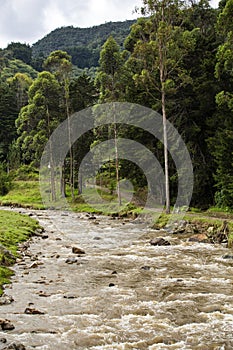 Piedras river basin, La Ceja, Antioquia - Colombia photo