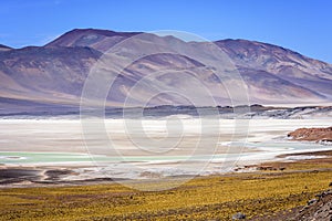 Piedras Rojas, Atacama, chile photo