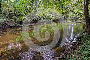 Piekielko forest reserve in Poland