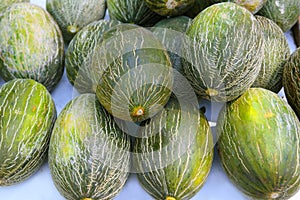 Piel de Sapo Santa Claus melon stacked photo