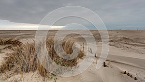 Piemanson beach - Salins-de-Giraud - Camargue - France