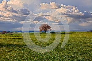 Pienza, Siena, Tuscany, Italy: landscape of the Val d`Orcia hills