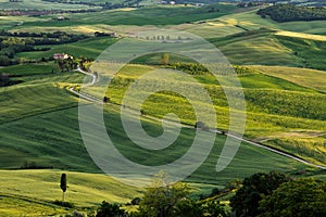 PIENZA, TUSCANY/ITALY - MAY 19 : Farmland below Pienza in Tuscan