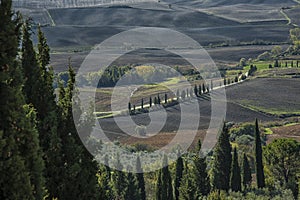 Pienza - Tuscany/Italy, October 30, 2016: Scenic Tuscany landscape with rolling hills and valleys in autumn, near Pienza