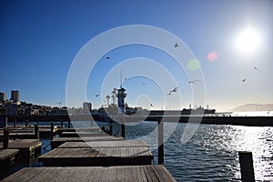 Pier 39 in San Francisco during a Sunny Cloudless Day with Seals and Seagulls